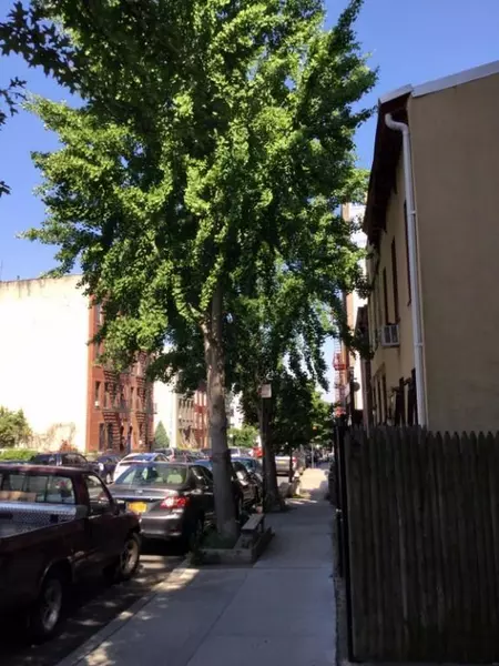 2 bedrooms apartment for rent in Park Slope - Brooklyn, New York