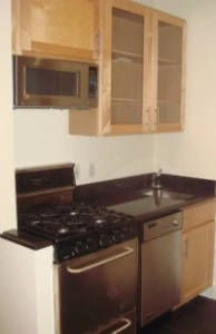 1 bedroom apartment for rent in East Village - Manhattan, New York