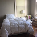 Room for rent in Noe Valley #1