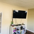 Room for rent in Oakland East #7