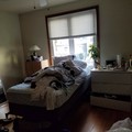 Room for rent in Jersey City #6