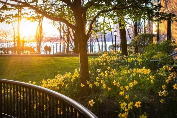 2 bedrooms apartment for rent in Battery Park - Manhattan, New York