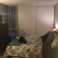Room for rent in Lakewood #2