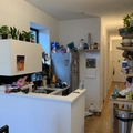 Room for rent in Prospect Lefferts Gardens #2