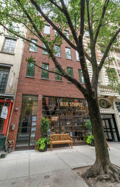 3 bedrooms apartment for rent in Greenwich Village - Manhattan, New York