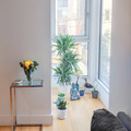 Room for rent in Greenpoint #9