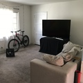 Room for rent in Venice #6