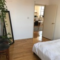 Room for rent in Clinton Hill #12