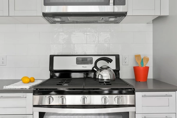 1 bedroom apartment for rent in Williamsburg - Brooklyn, New York