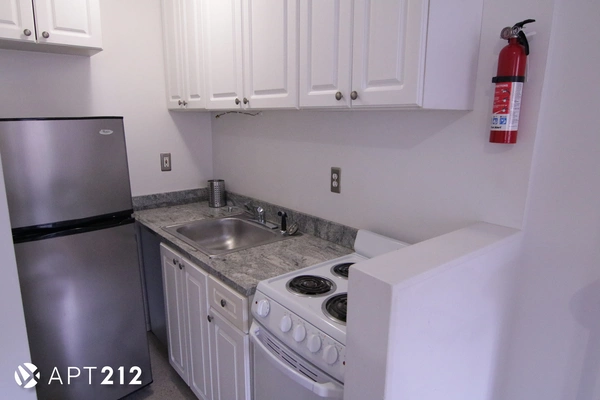 2 bedrooms apartment for rent in East Village - Manhattan, New York