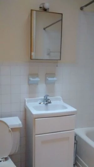 Studio Apartment for rent in Midtown East - Manhattan, New York