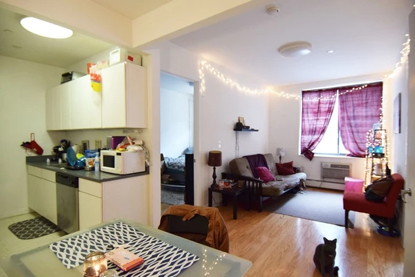 1 bedroom apartment for rent in Williamsburg - Brooklyn, New York
