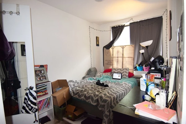 1 bedroom apartment for rent in Williamsburg - Brooklyn, New York