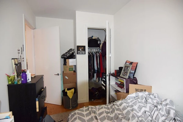 1 bedroom apartment for rent in Williamsburg - Brooklyn, New York