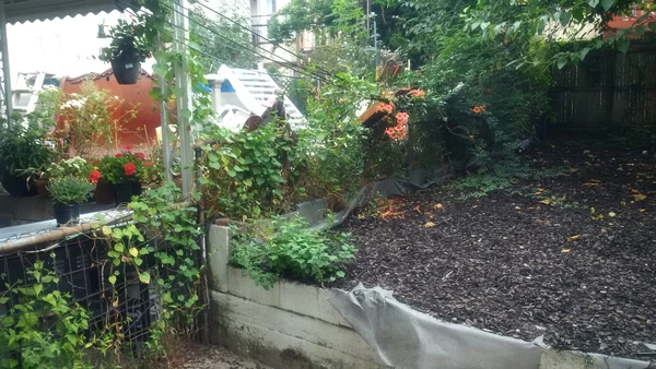 1 bedroom apartment for rent in Ridgewood - Queens, New York