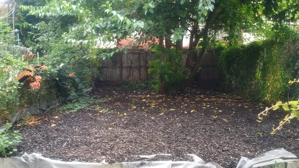 1 bedroom apartment for rent in Ridgewood - Queens, New York