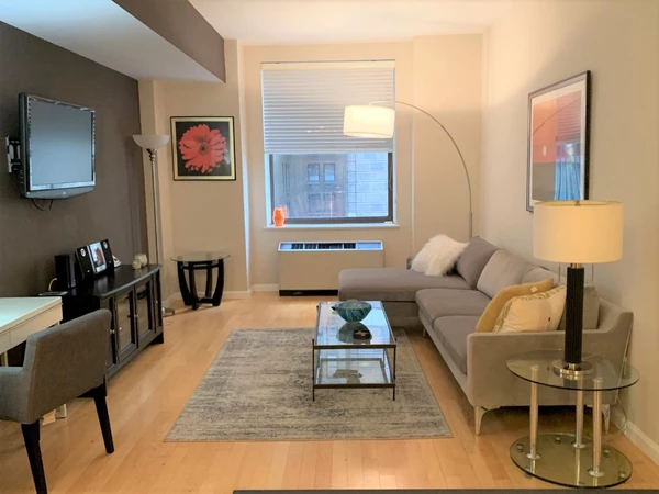 1 bedroom apartment for rent in Financial District - Manhattan, New York