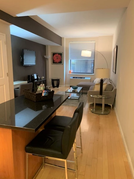 1 bedroom apartment for rent in Financial District - Manhattan, New York