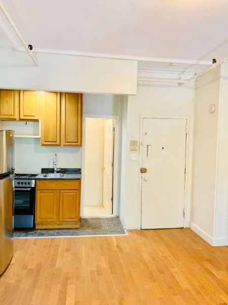 Studio Apartment for rent in Clinton Hill - Brooklyn, New York