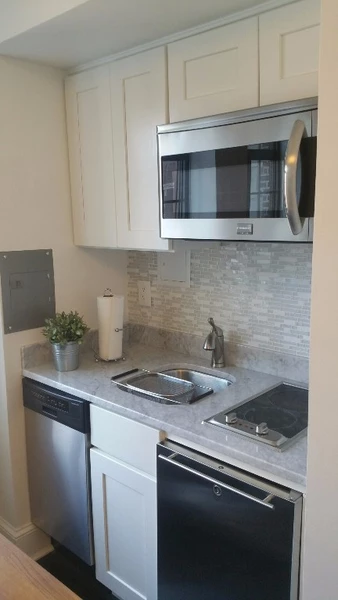 Studio Apartment for rent in Murray Hill - Manhattan, New York