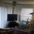 Room for rent in Palm Beach Gardens #2