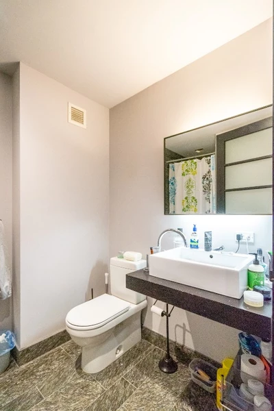 1 bedroom apartment for rent in Financial District - Manhattan, New York