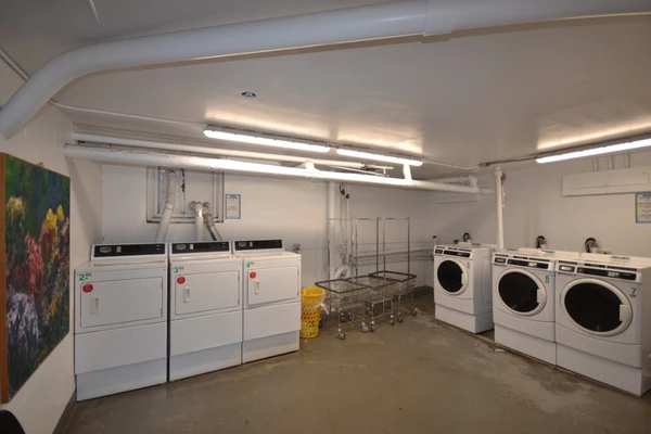 1 bedroom apartment for rent in Woodhaven - Queens, New York