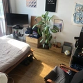 Room for rent in Crown Heights #5