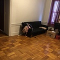 Room for rent in Flatbush Ditmas Park #1