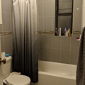 Room for rent in Flatbush Ditmas Park #3