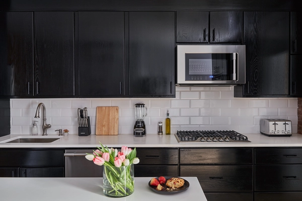 Coliving in Harlem - Manhattan, New York