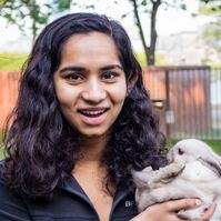 Looking for a roommate in Manhattan - New York