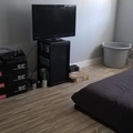 Room for rent in City Heights #3