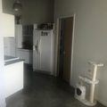 Room for rent in Downtown Miami #1