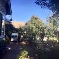 Room for rent in Petaluma #14
