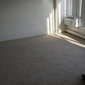 Room for rent in West Los Angeles #22