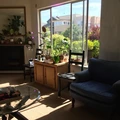 Room for rent in Richmond District #1