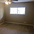 Room for rent in Allandale #2