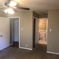 Room for rent in Allandale #1