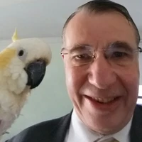 Looking for a roommate in Queens, Brooklyn, Manhattan - New York