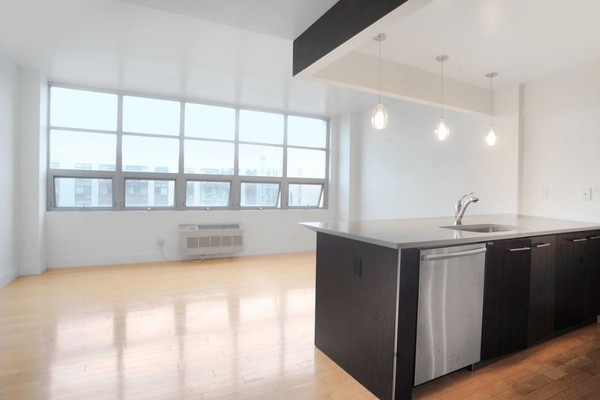 1 bedroom apartment for rent in LIC - Queens, New York