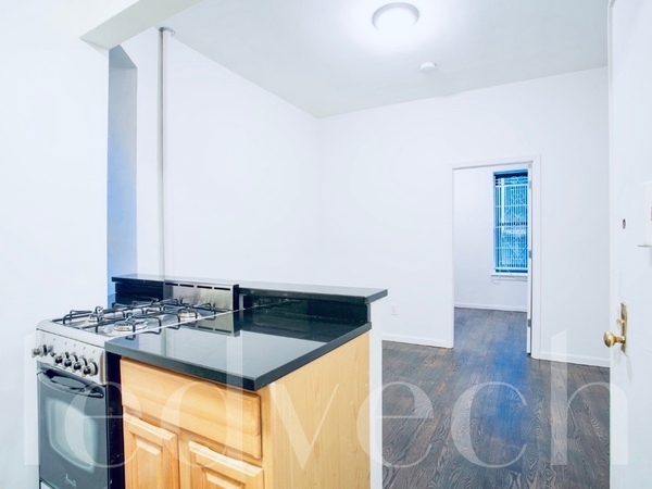 1 bedroom apartment for rent in Greenwich Village - Manhattan, New York