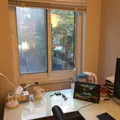 Room for rent in Roosevelt Island #4