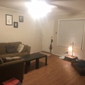 Room for rent in South Congress #5