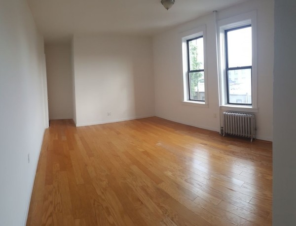 1 bedroom apartment for rent in LIC - Queens, New York