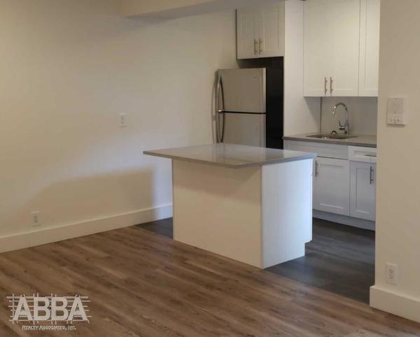 2 bedrooms apartment for rent in Flatbush Ditmas Park - Brooklyn, New York