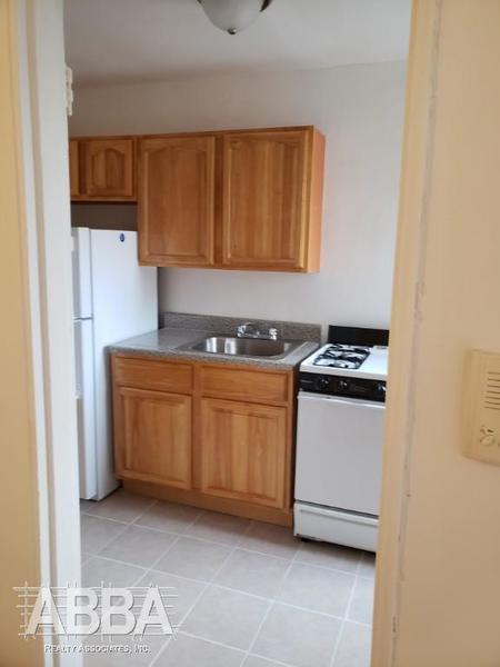 1 bedroom apartment for rent in Flatbush Ditmas Park - Brooklyn, New York