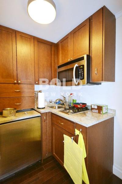 1 bedroom apartment for rent in Upper East Side - Manhattan, New York