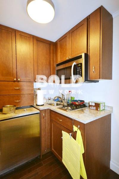 1 bedroom apartment for rent in Upper East Side - Manhattan, New York