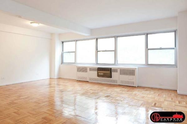 Studio Apartment for rent in Midtown East - Manhattan, New York